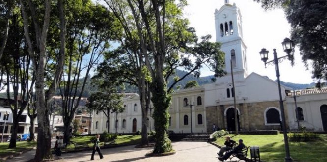 Tala de eucalipto de la Plaza Fundacional Tala de eucalipto de la Plaza Fundacional
