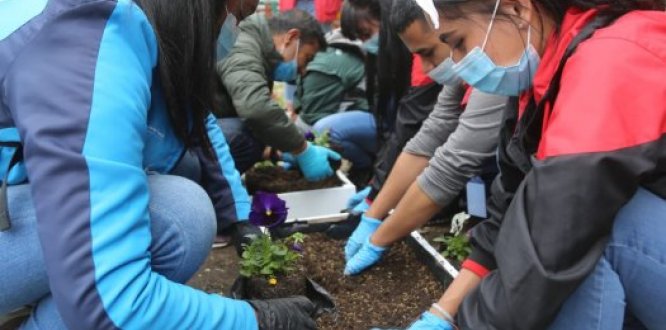 Embellecimiento de espacio público
