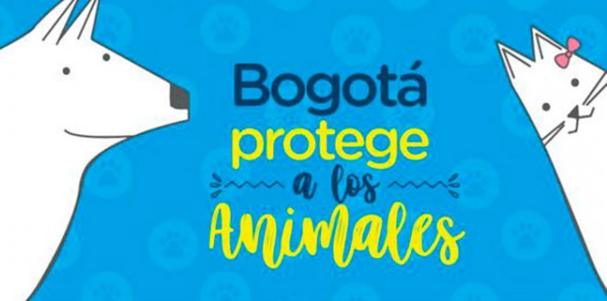  protección y bienestar animal