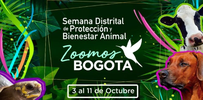 noticia semana protección animal