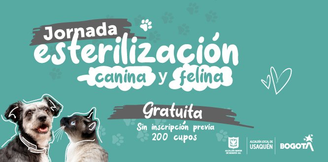 Jornada de esterilización