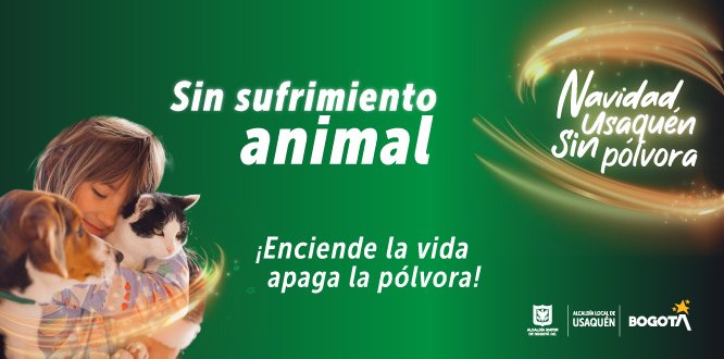 Navidad sin polvora Navidad sin polvora