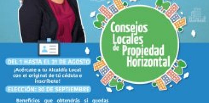 Calendario: elección del Consejo Local de Propiedad Horizontal