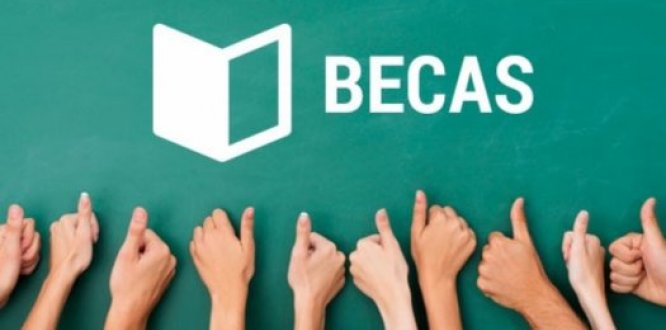 Estímulos al trabajo comunitario a través del arte y la cultura   