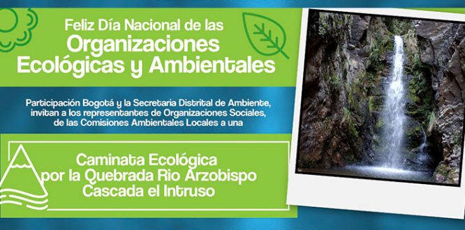  Organizaciones Ecológicas y Ambientales