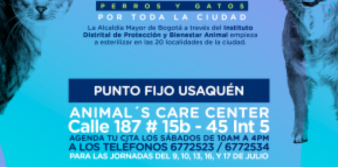 Julio 13, 16 y 17: jornada de esterilización en Usaquén