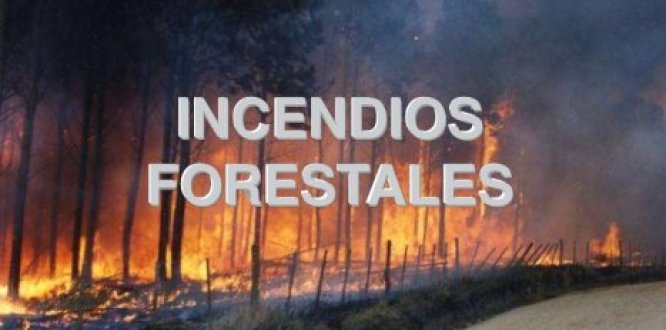 Recomendaciones para evitar incendios forestales