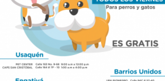 Viernes de vacunación canina y felina en Usaquén  