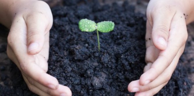 Sábado 14: jornada de cuidado ambiental y protección animal Sábado 14: jornada de cuidado ambiental y protección animal