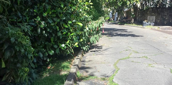 Muro de contención en Santa Ana evitará deterioro de la vía Muro de contención en Santa Ana evitará deterioro de la vía