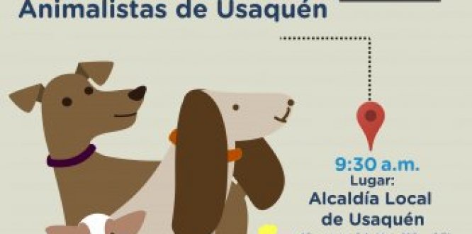 Miércoles 23: primera reunión de animalistas de Usaquén  