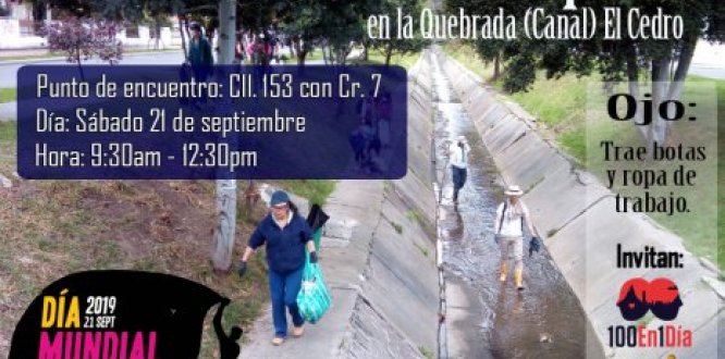 Jornada Mundial de la Limpieza en el Canal (Quebrada) El Cedro