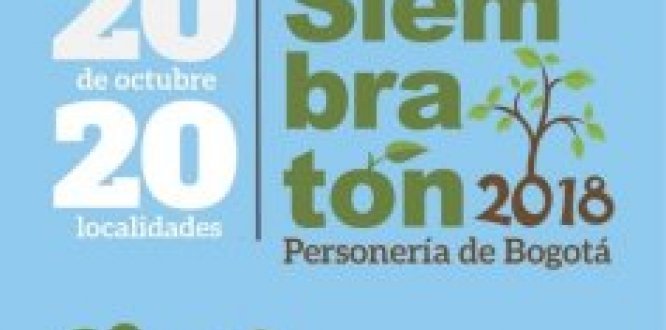 Mañana: Siembratón en el parque Estrella Norte