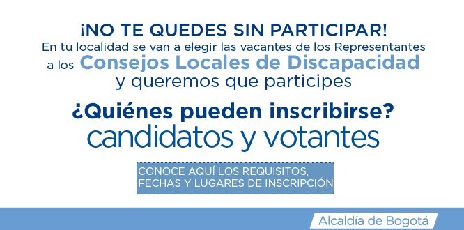 Consejo Local de Discapacidad