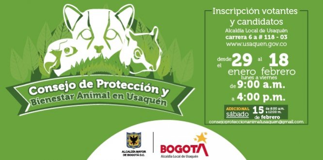 Haz parte del Consejo Local de Protección y Bienestar Animal 