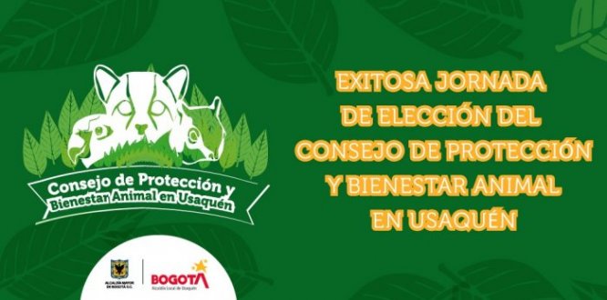 Exitosa jornada de elección del Consejo de Protección y Bienestar Animal en Usaquén