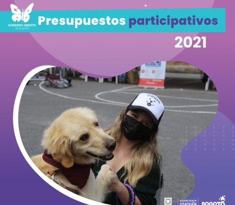 presupuestos 2021