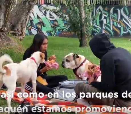 ¡Este parque también es tuyo!