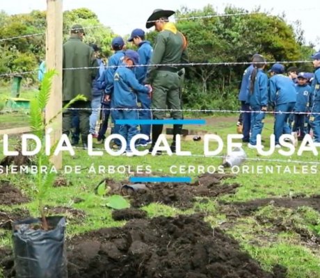 Siembra de árboles - Cerros Orientales Usaquén