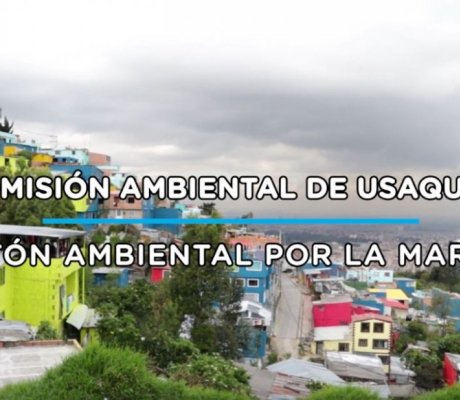 Comisión Ambiental de Usaquén