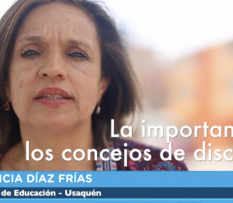 Consejo de discapacidad