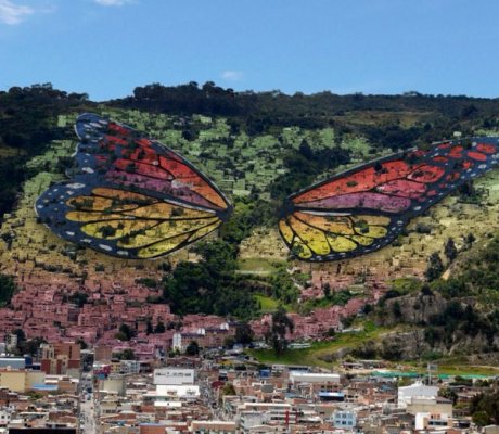 La mariposa más grande de Bogotá se pintará en Usaquén
