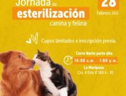 Esterilización canina y felina.