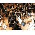 Orquesta Filarmónica de Bogotá