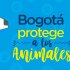  protección y bienestar animal