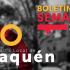 boletin semanal