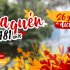 cumpleaños usaquén
