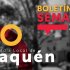 boletin semanal