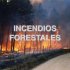 Recomendaciones para evitar incendios forestales