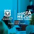 Talleres y asesorías